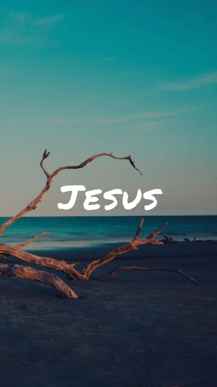 Jesus, driftwood branches, teal ocean, HD Phone Wallpaper