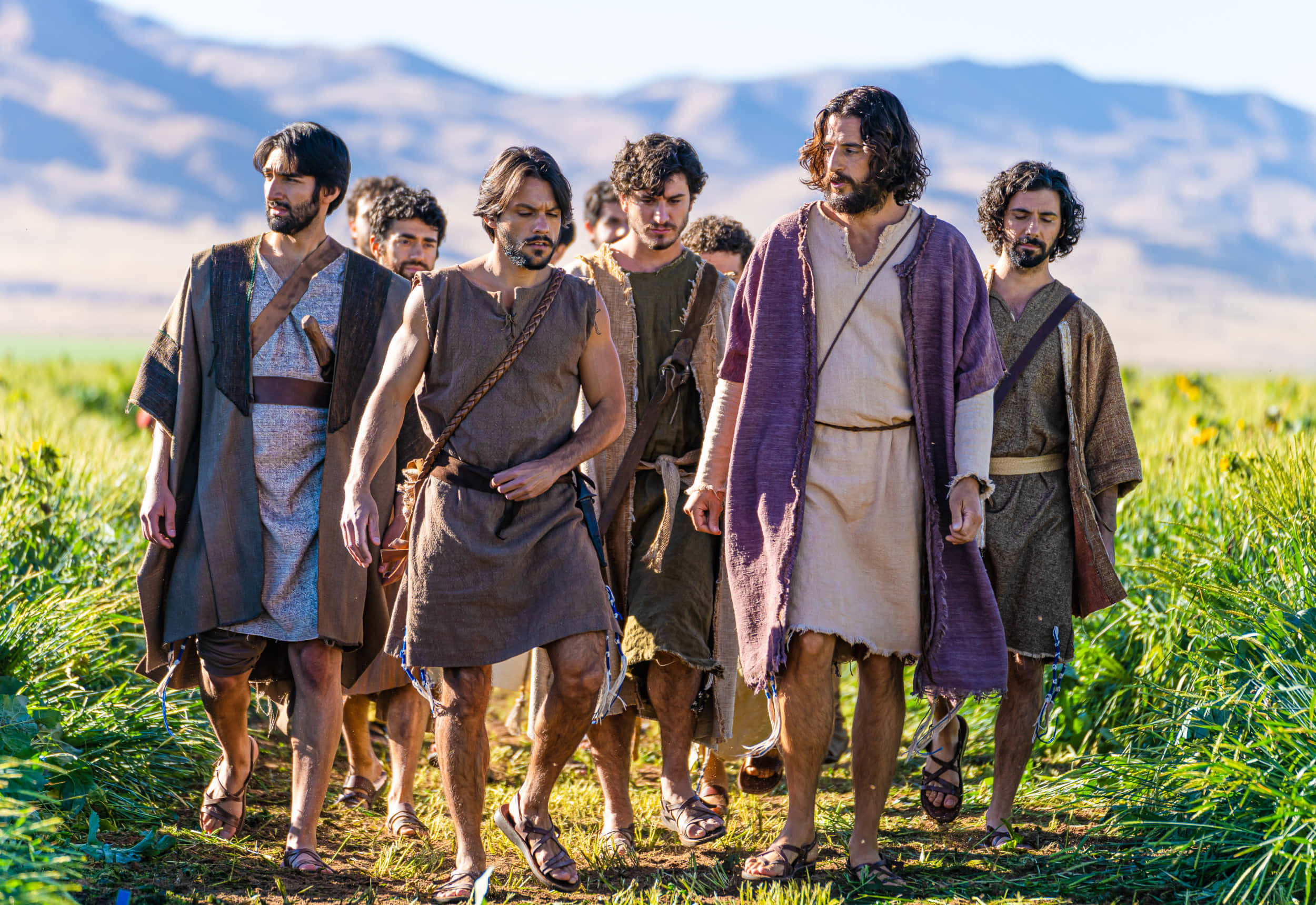 Jesus Disciples, ancient robes, sunlit field, Full HD Desktop Wallpaper