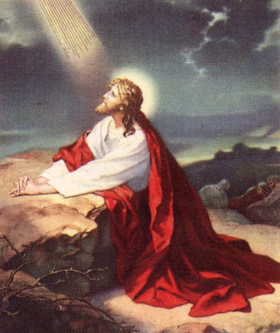 Jesus, rocky shore, red robe, SD Phone Wallpaper