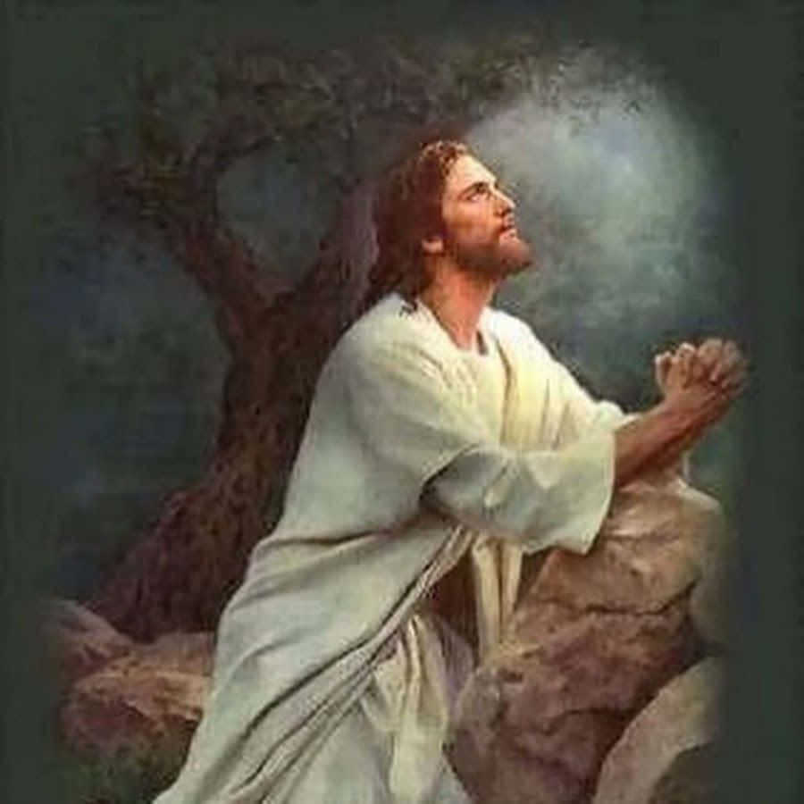 Jesus, white robes, rocks, SD Desktop Wallpaper