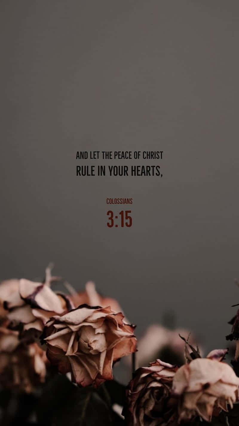 Jesus Is King, wilted roses, scripture verse, HD Phone Wallpaper