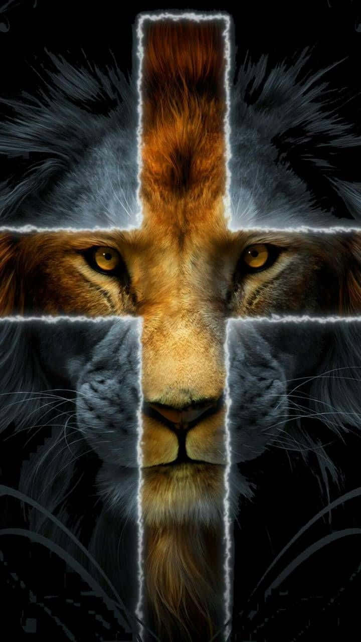 Jesus Is King, lion head, glowing cross, HD Phone Wallpaper