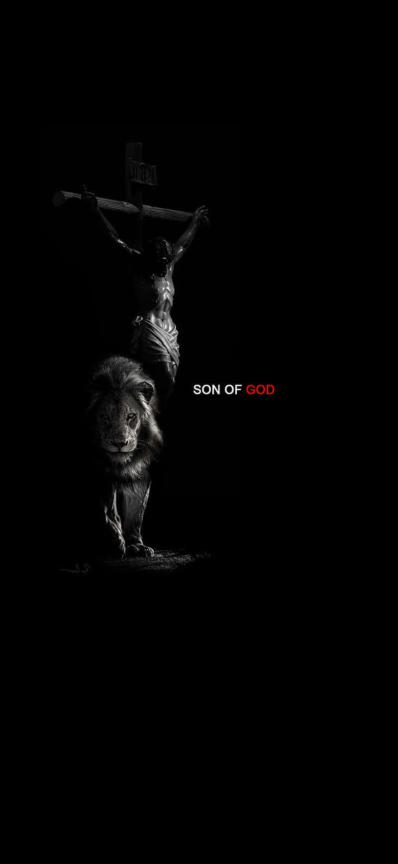 Jesus, crucified figure, lion, HD Phone Wallpaper