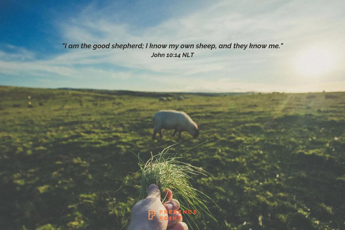 Jesus With Sheep