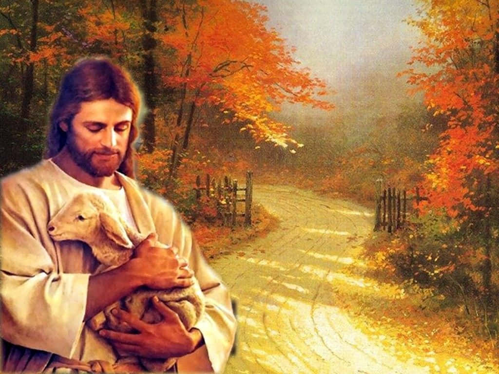 Jesus, sheep, sunlit autumn path, SD Desktop Wallpaper