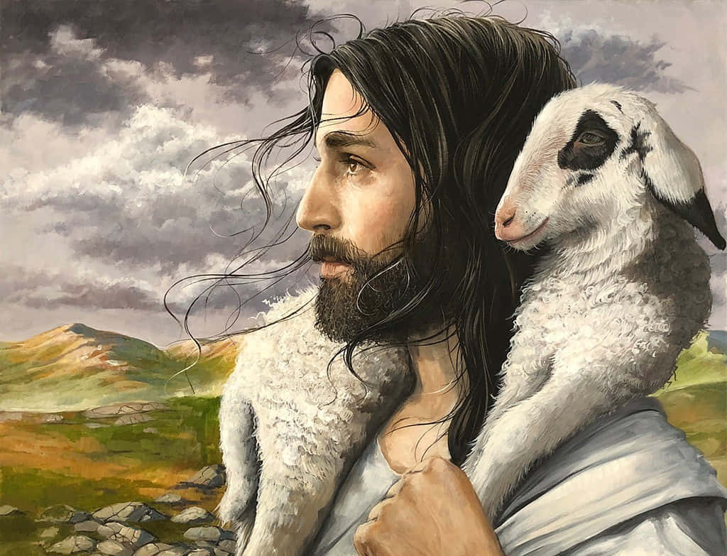 Jesus, sheep, white lamb, SD Desktop Wallpaper