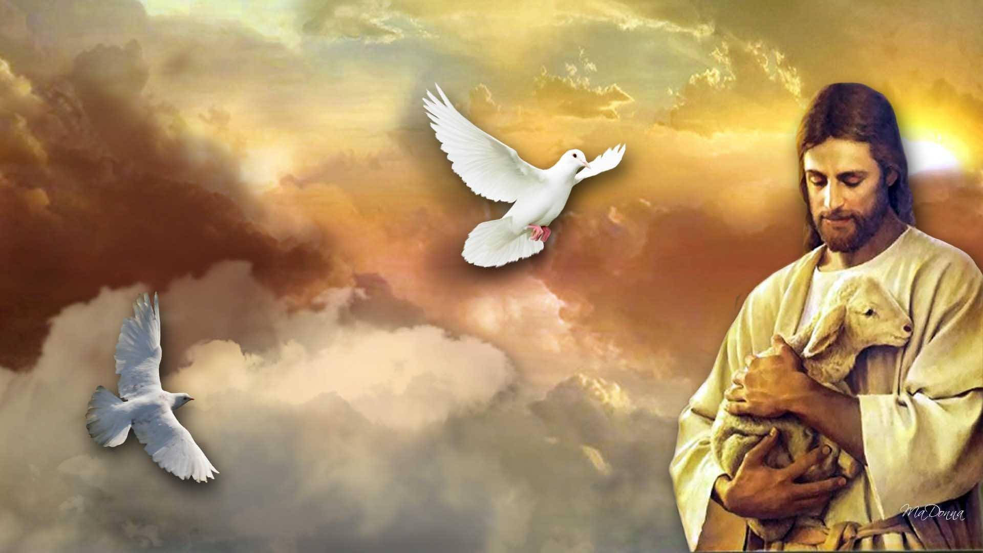 Jesus, lamb, dove, Full HD Desktop Wallpaper