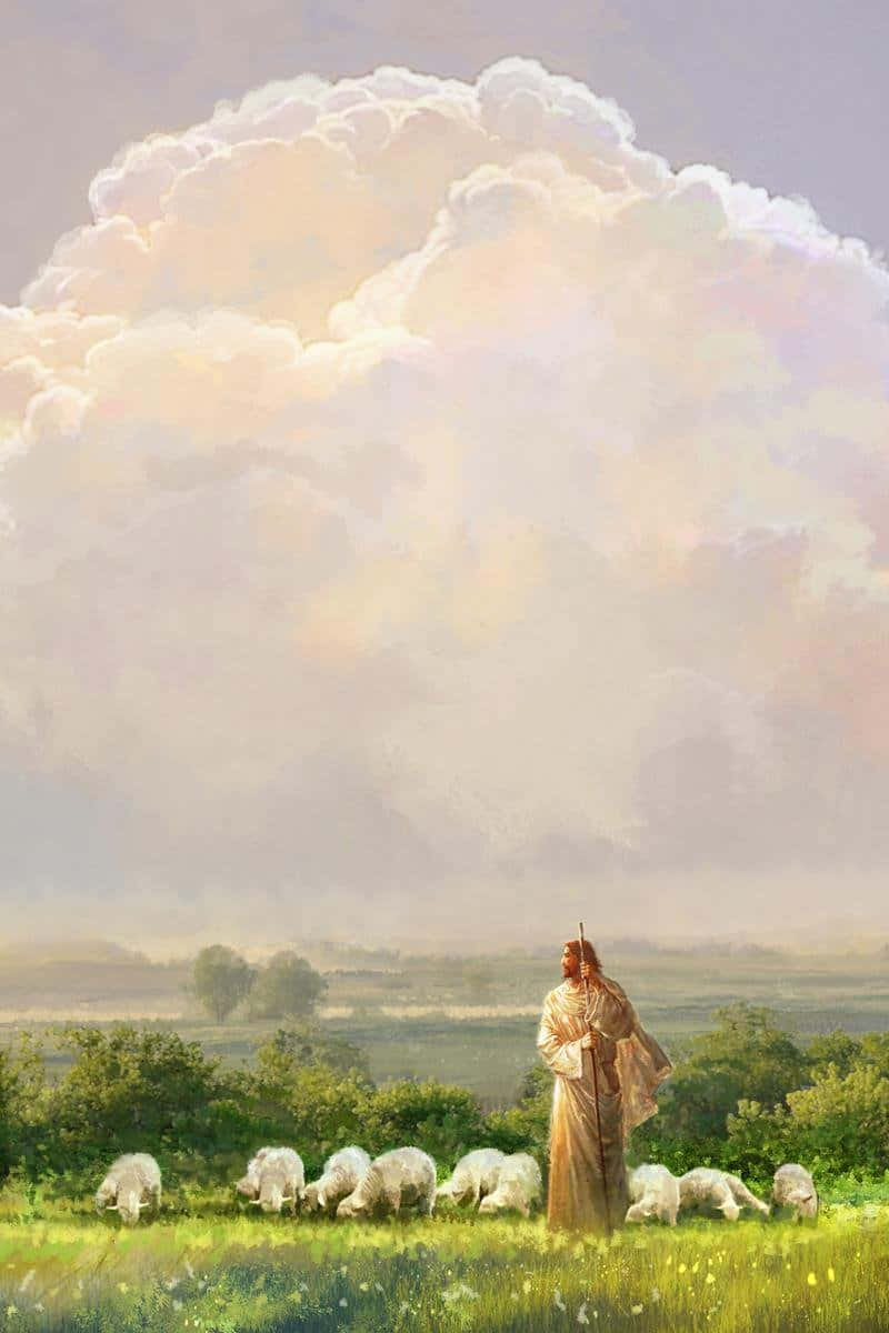 Jesus, sheep, flowing robes, SD Phone Wallpaper