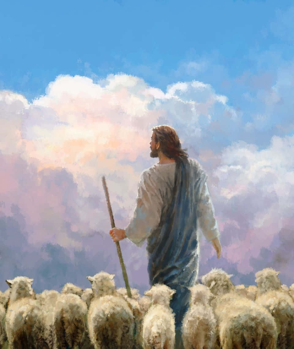 Jesus, sheep, flowing robes, SD Phone Wallpaper