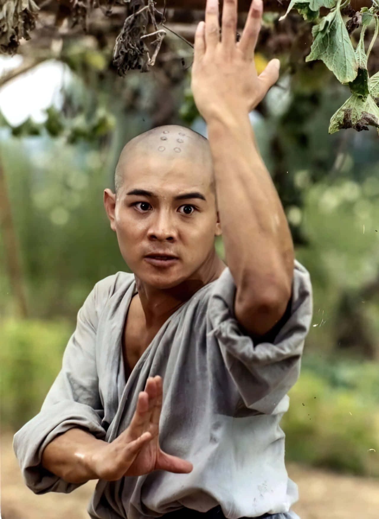 Jet Li, bald monk, gray robes, HD Phone Wallpaper