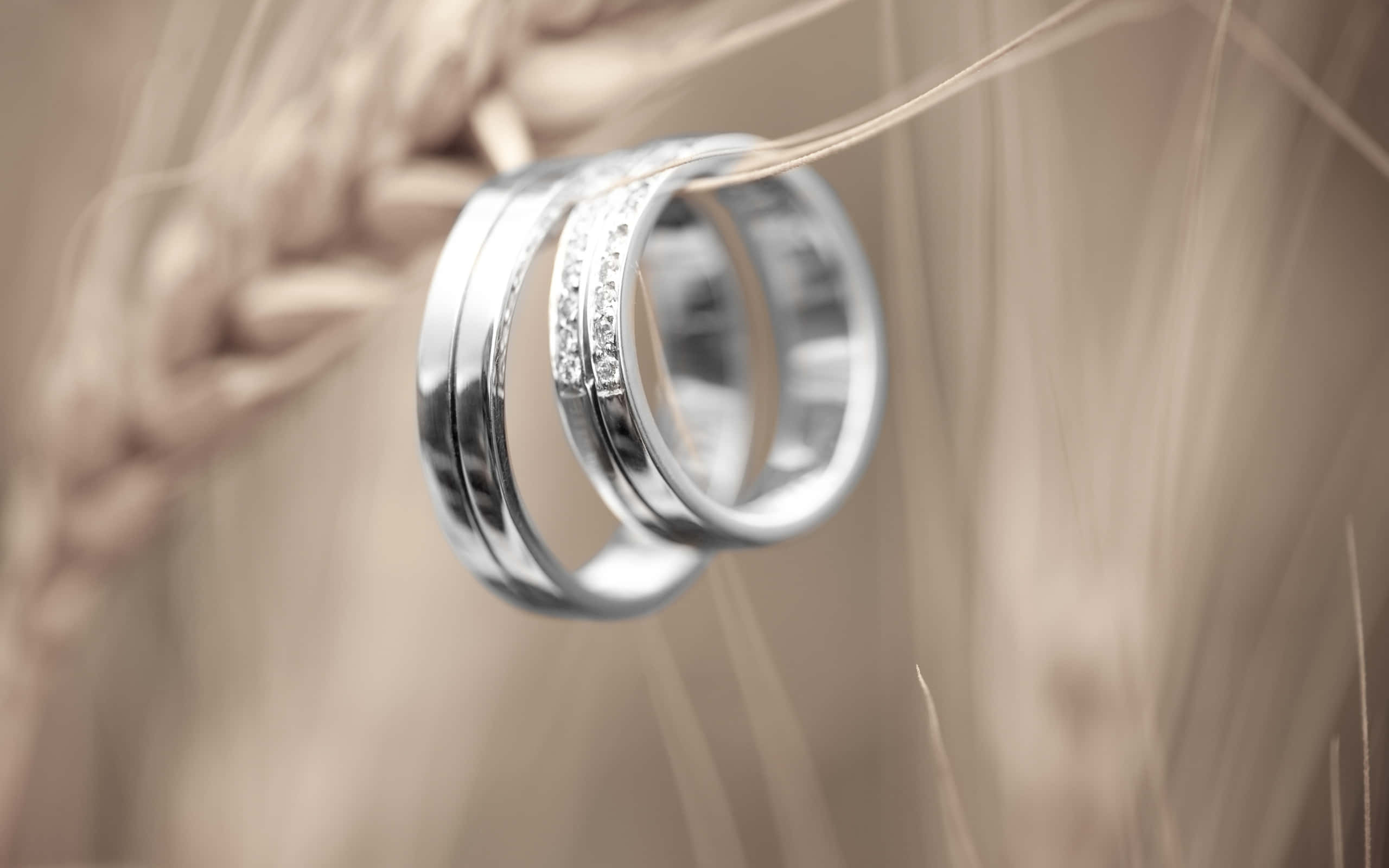 silver wedding bands, diamonds, golden wheat stalks, 2K Desktop Wallpaper