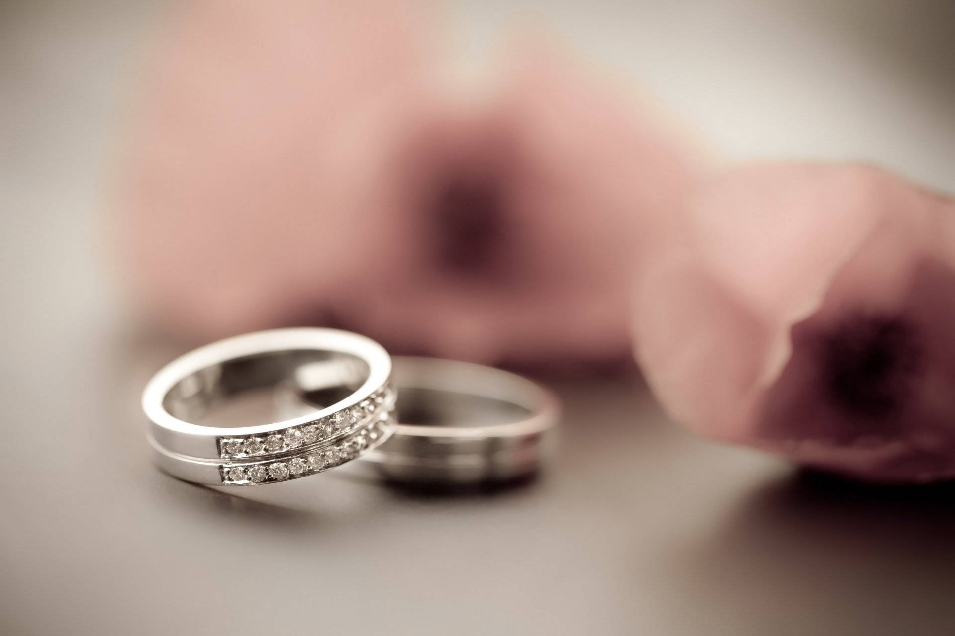 silver wedding bands, diamond accents, pink rose, Full HD Desktop Wallpaper