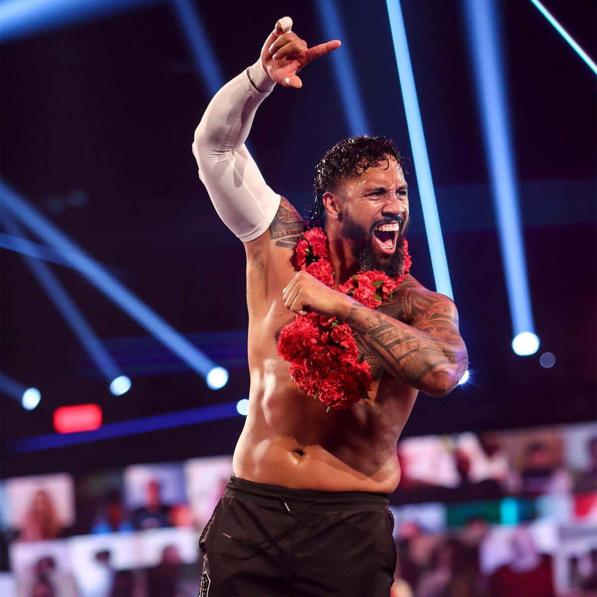 Jey Uso, red flower lei, bright blue stage lights, SD Desktop Wallpaper