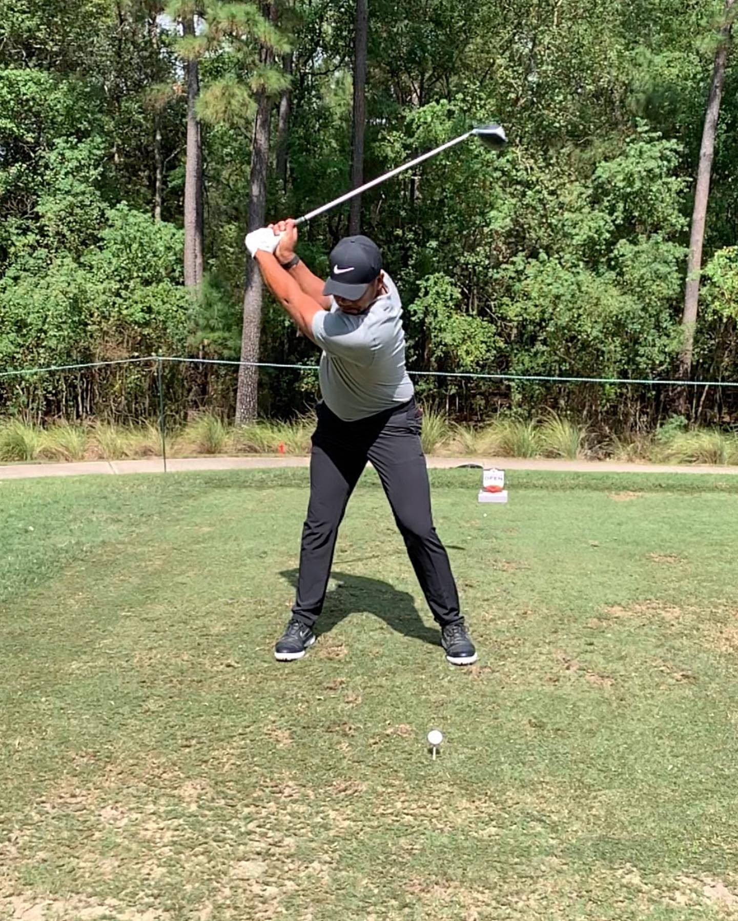 Jhonattan Vegas, sunny weather, lush green trees, HD Phone Wallpaper