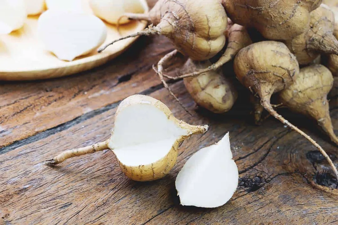 Jicama