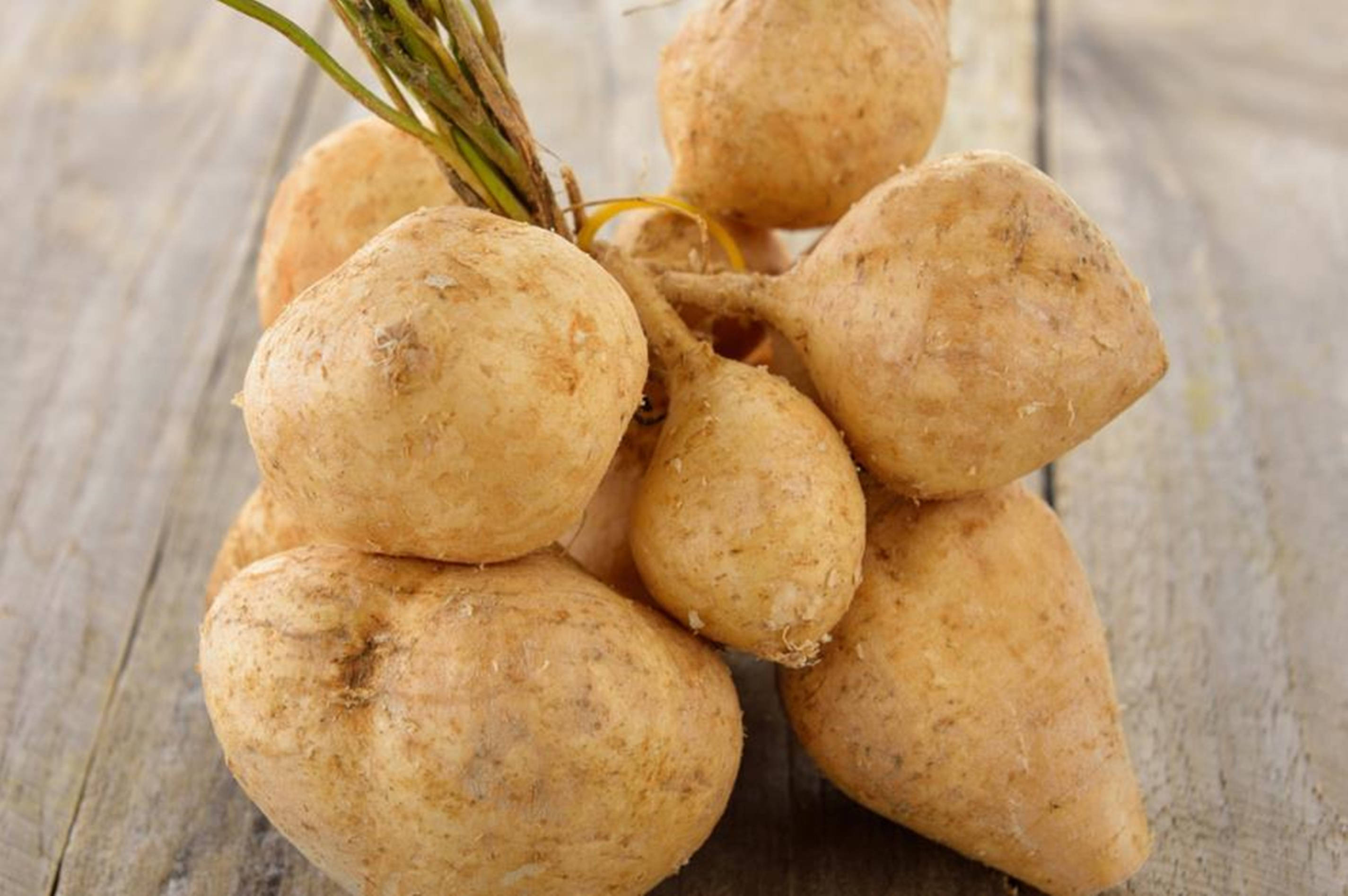 Jicama Turnip Bundle, white turnips, green stems, 2K Desktop Wallpaper
