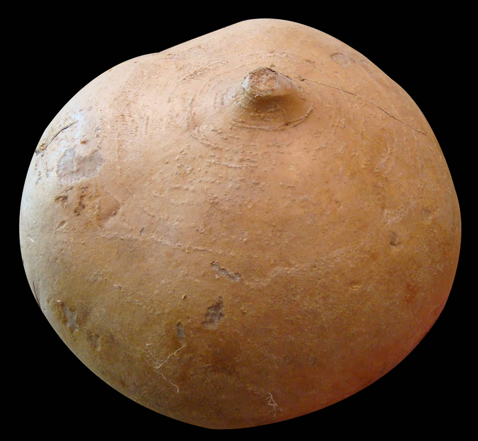 jicama, orange, rough textured, HD Desktop Wallpaper