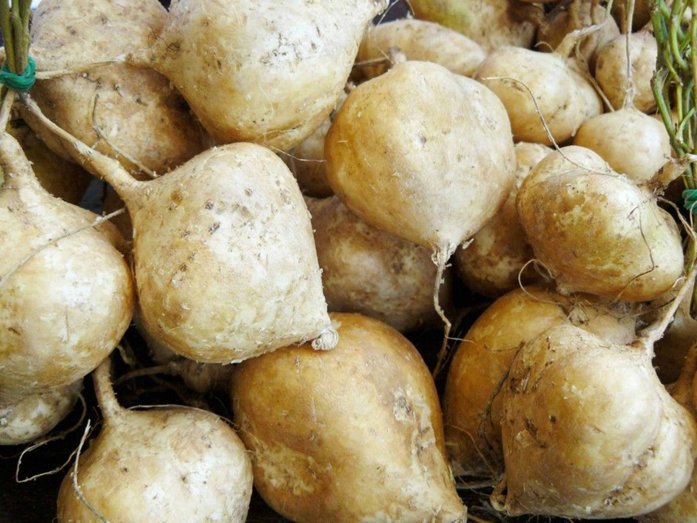 Jicama, market, earth, 2K Desktop Wallpaper