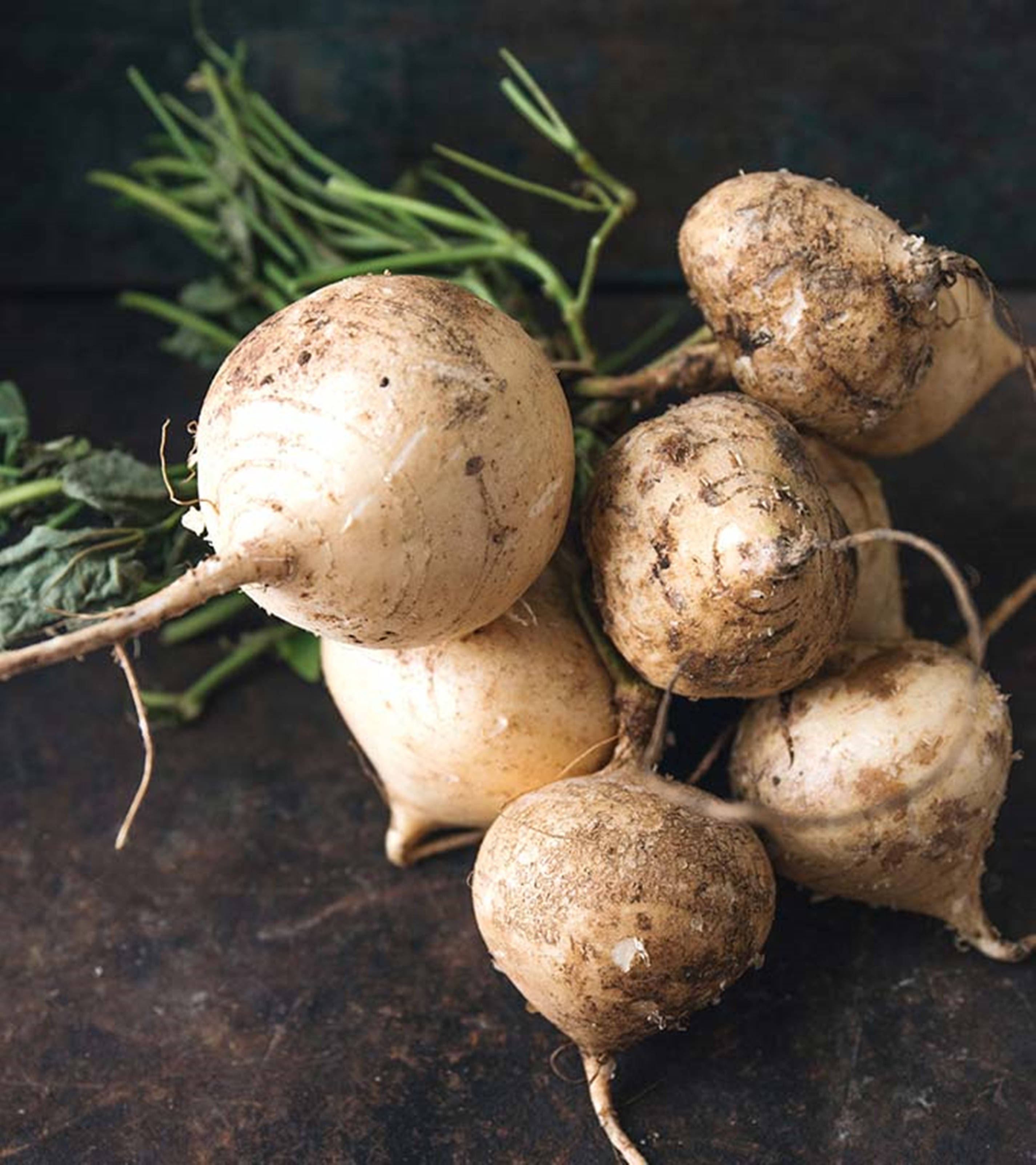 jicama, white turnips, green stems, 2K Phone Wallpaper