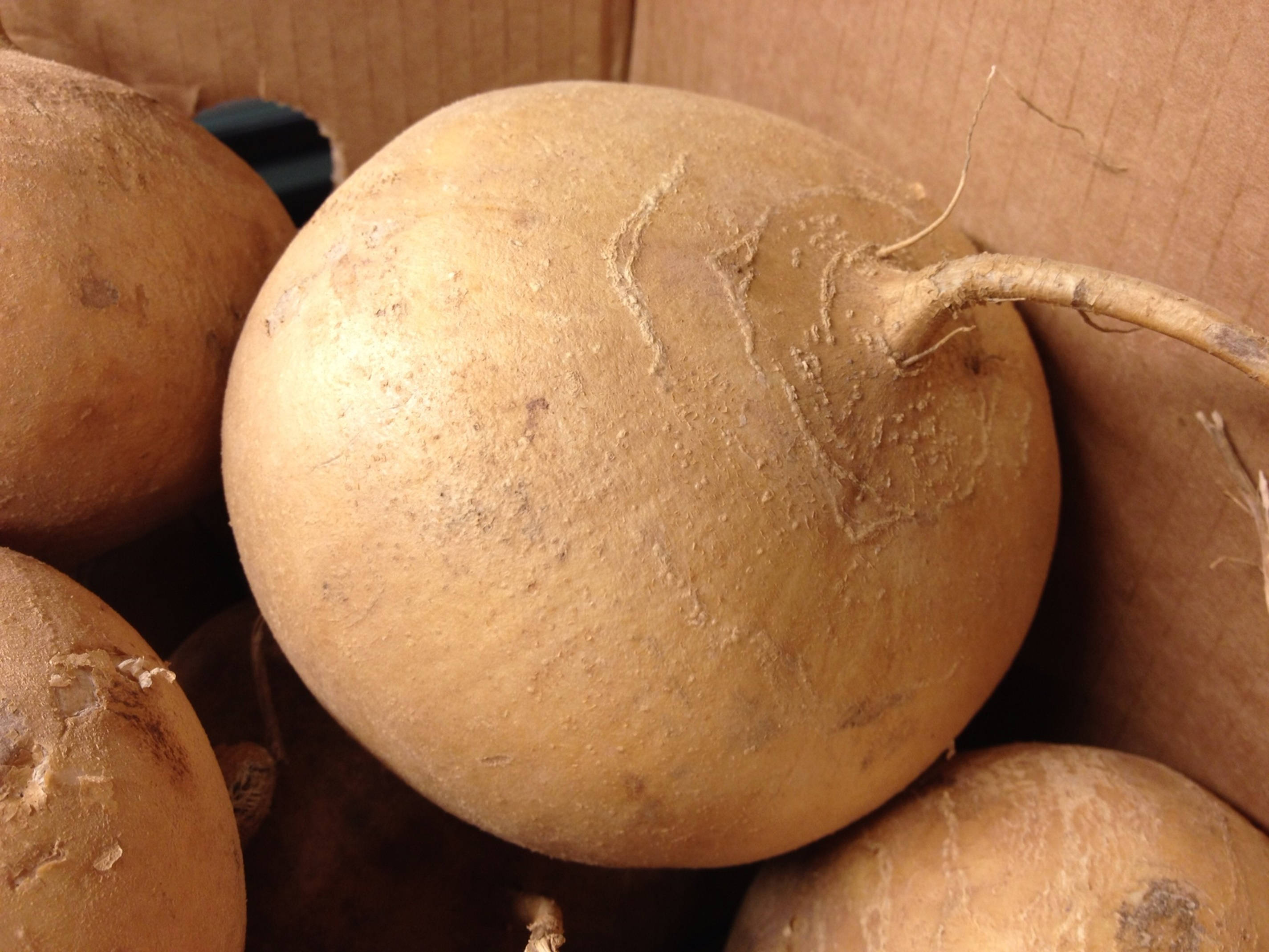 Jicama, brown box, cardboard box, 2K Desktop Wallpaper