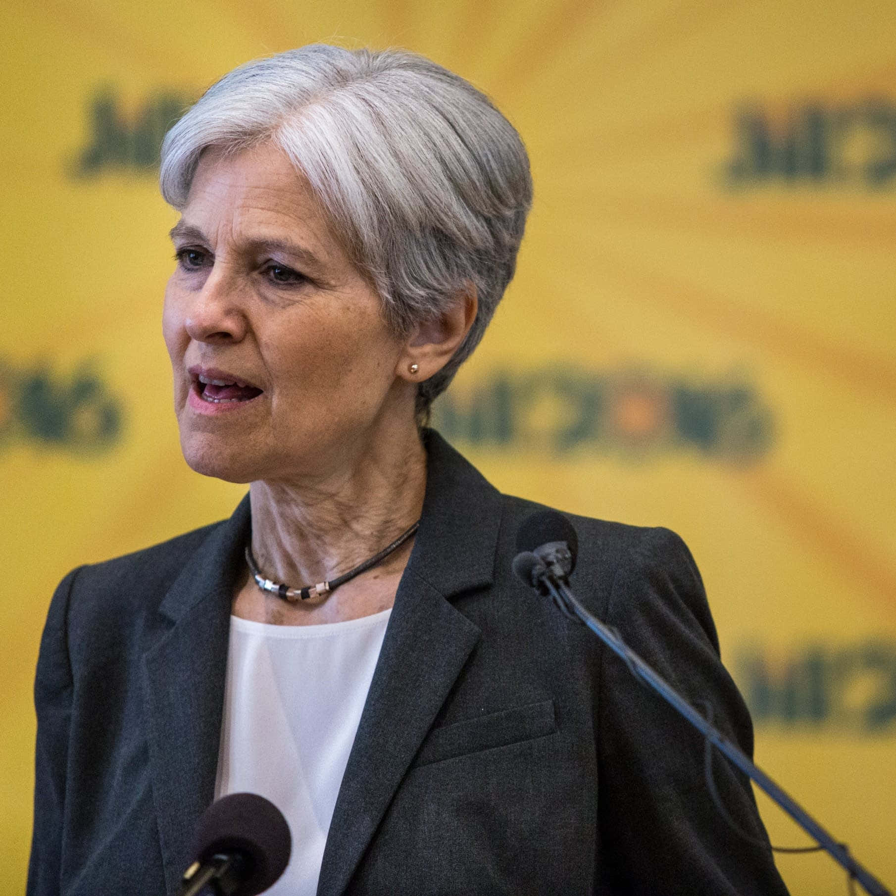 Jill Stein, short gray hair, microphone, HD Desktop Wallpaper