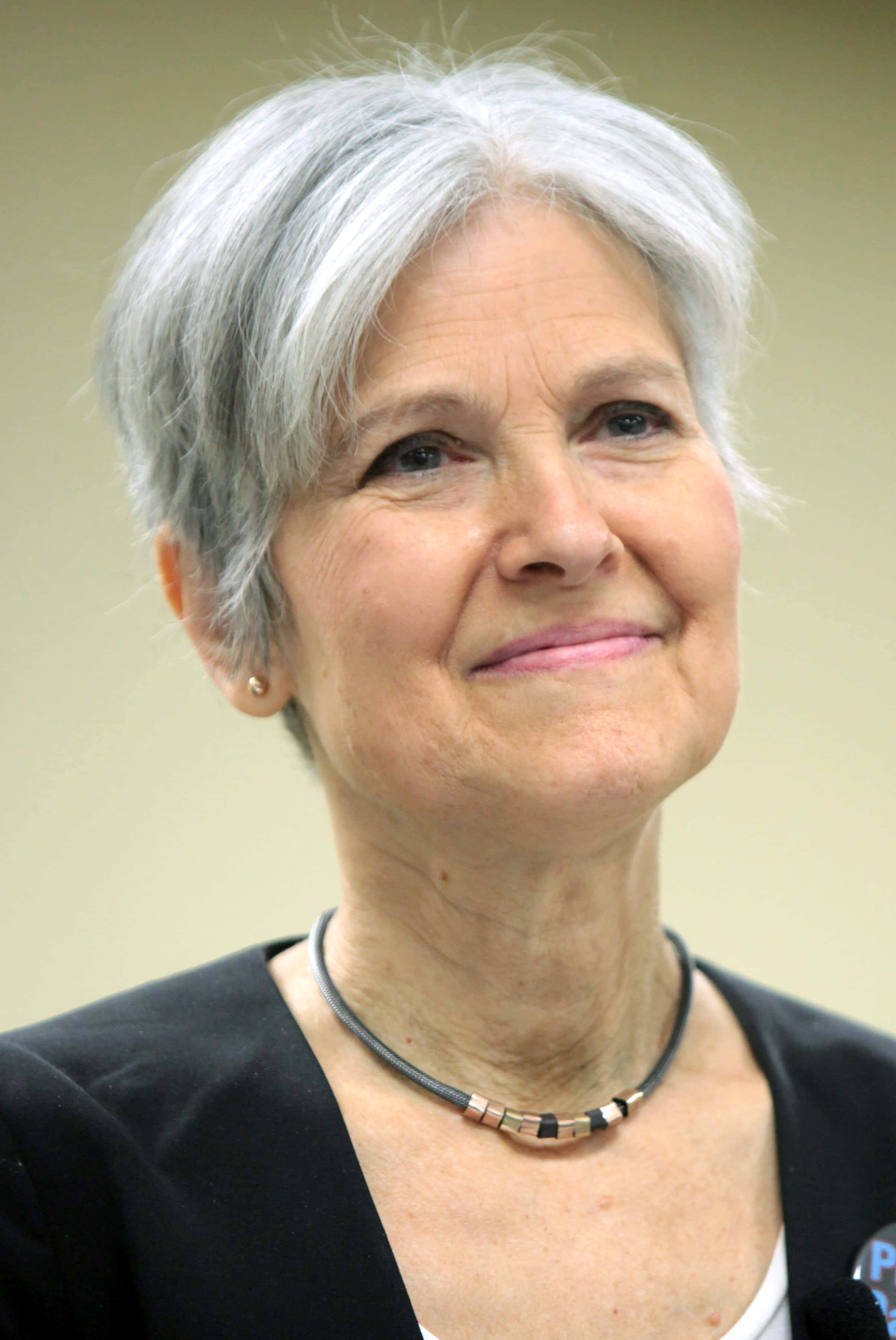 Jill Stein, short silver hair, smiling gently, 2K Phone Wallpaper