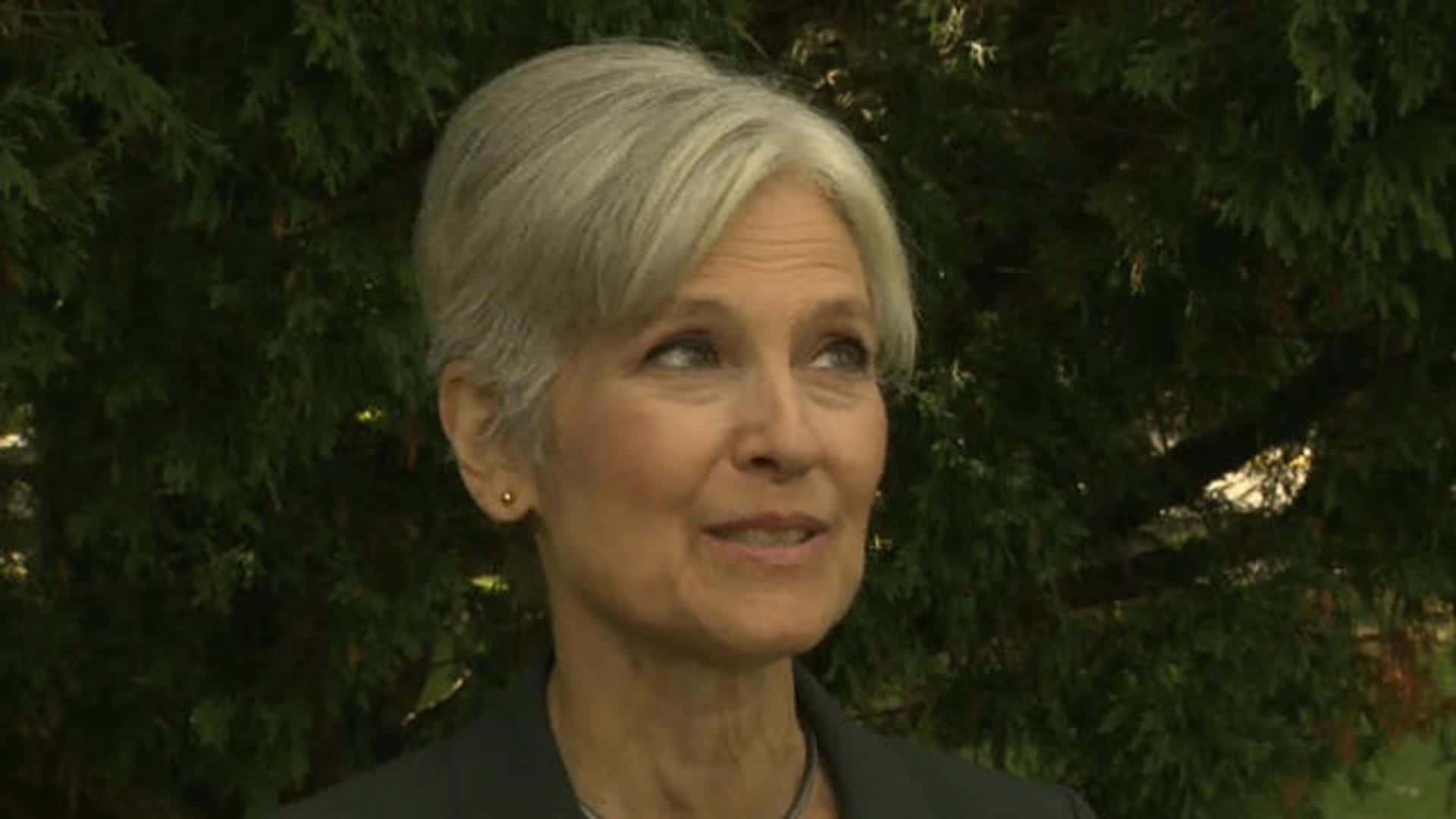 Jill Stein, short gray hair, lush green trees, Full HD Desktop Wallpaper