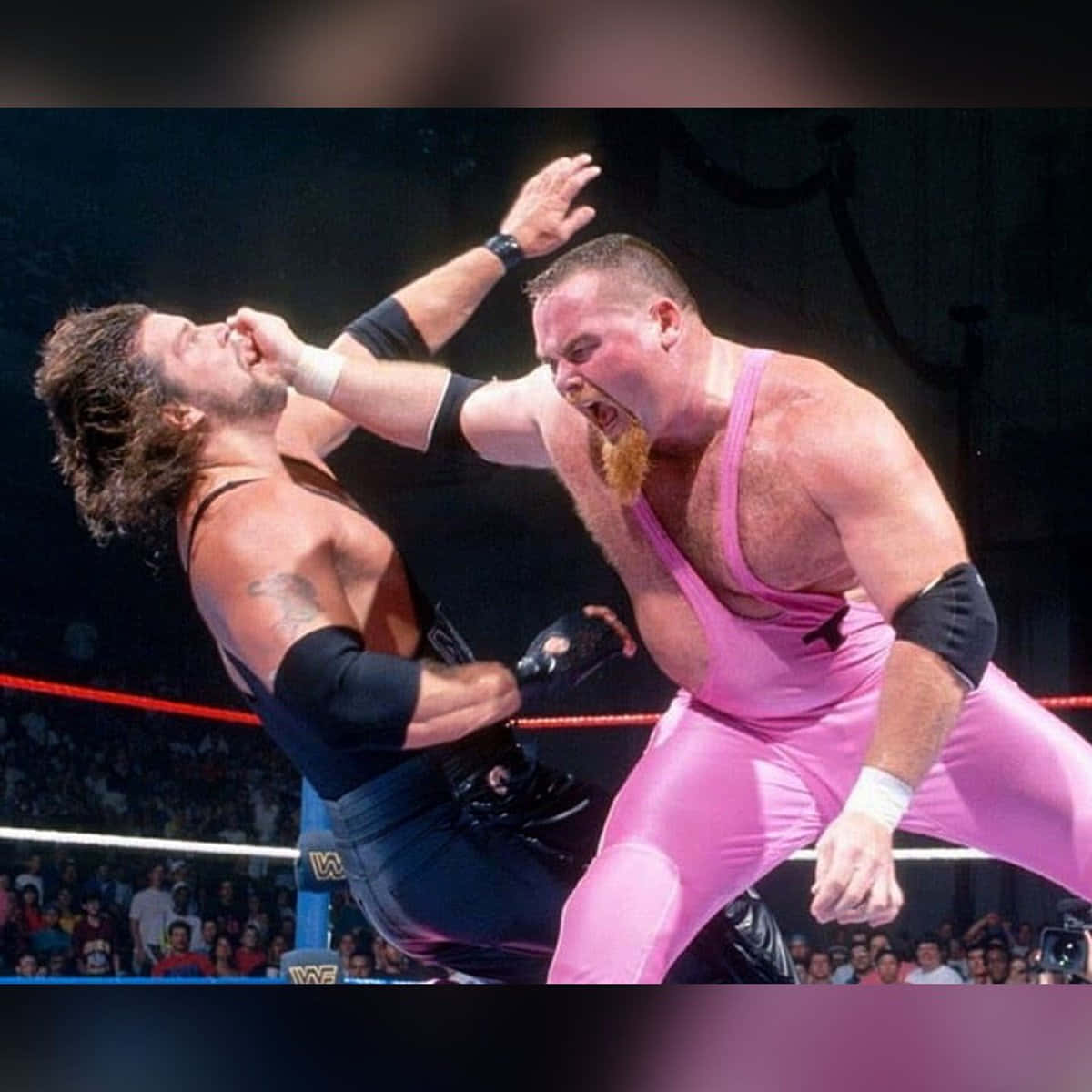 Jim Neidhart, pink tights, black tights, SD Desktop Wallpaper