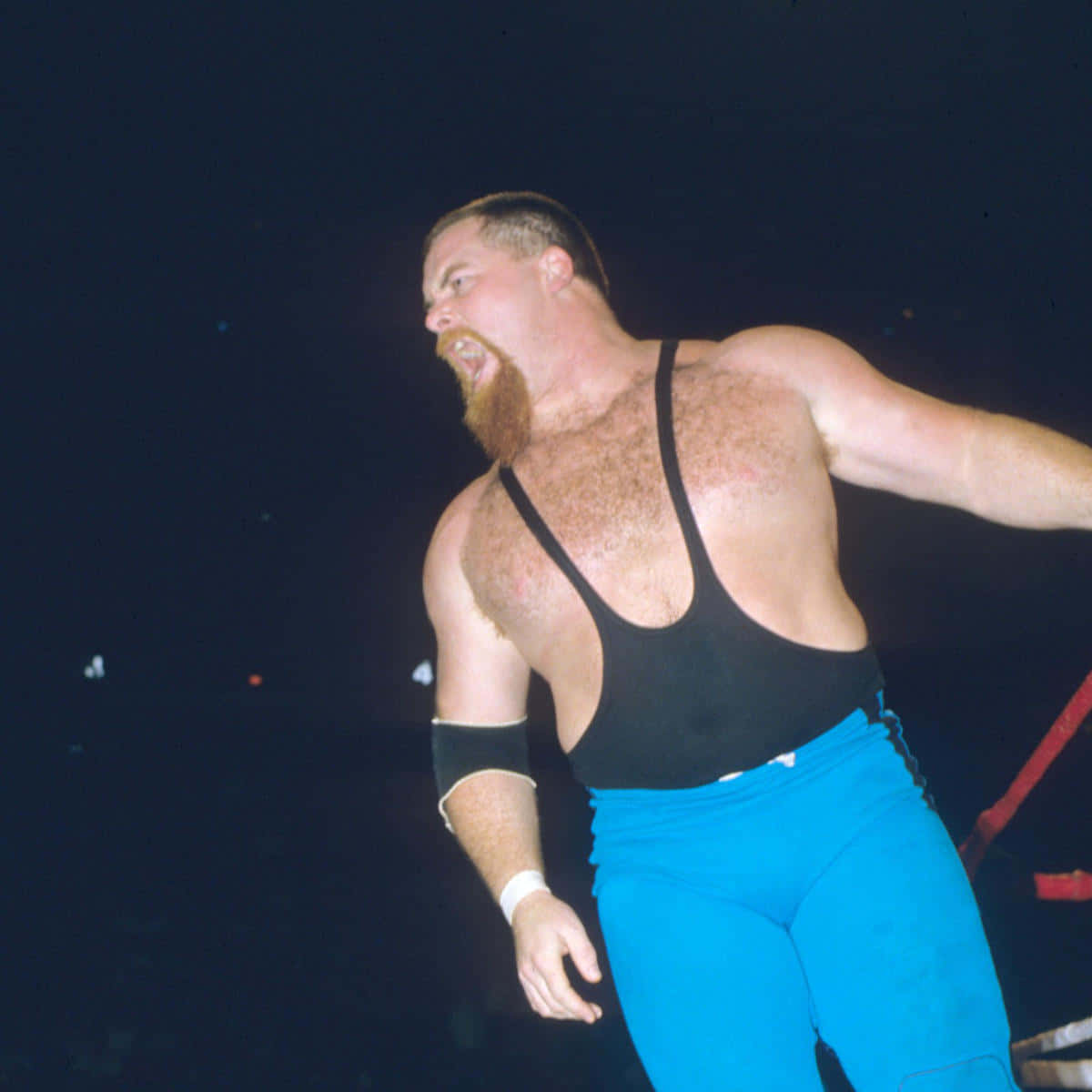 Jim Neidhart, black tank top, blue tights, SD Desktop Wallpaper