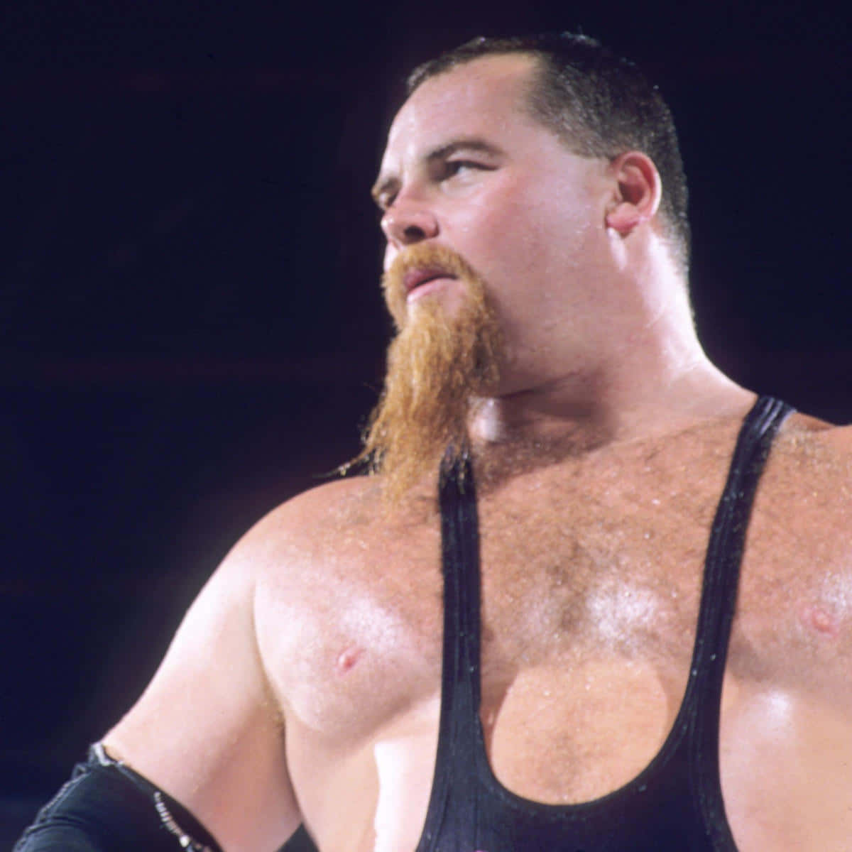 Jim Neidhart, muscular wrestler, long blonde beard, SD Desktop Wallpaper