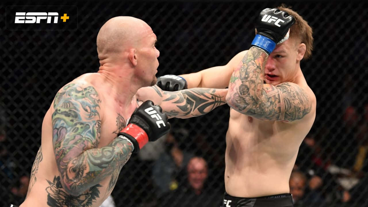 Jimmy Crute, MMA fighter, cage match, HD Desktop Wallpaper