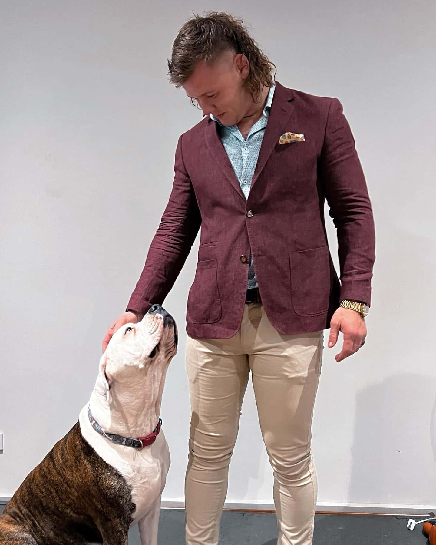 Jimmy Crute, maroon blazer, brindle and white bulldog, HD Phone Wallpaper