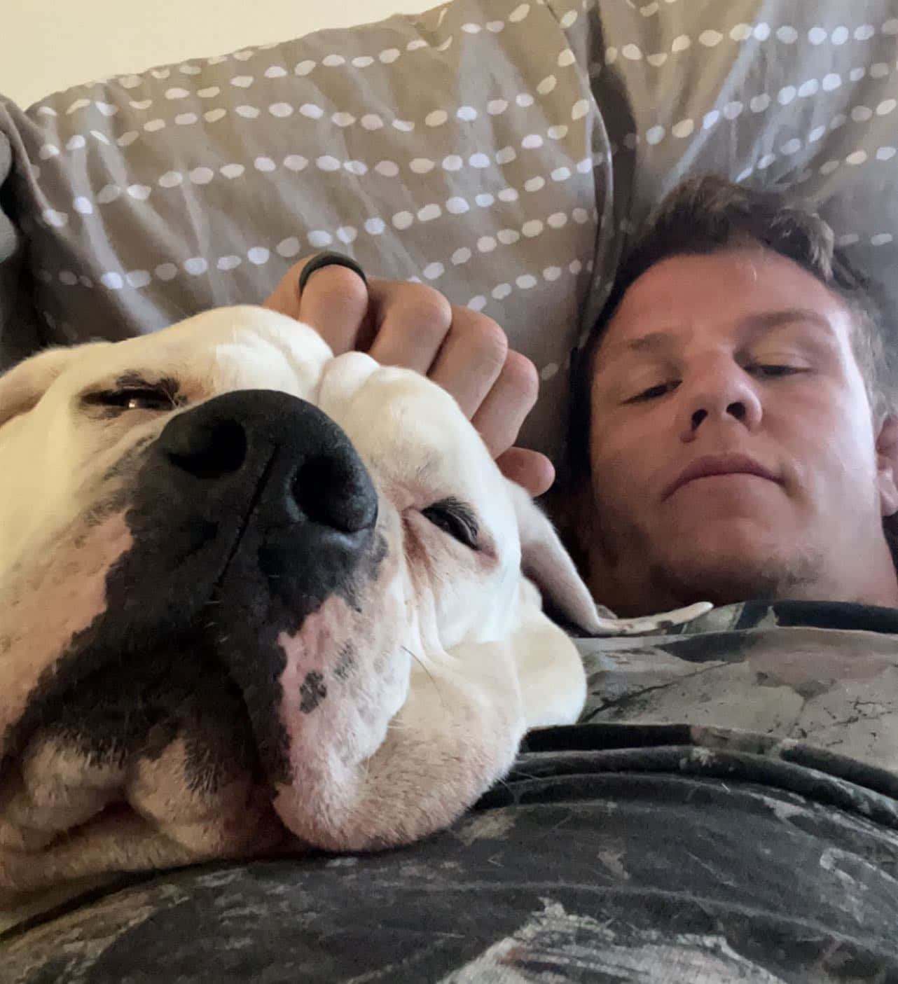 Jimmy Crute, white bulldog, patterned couch, HD Phone Wallpaper