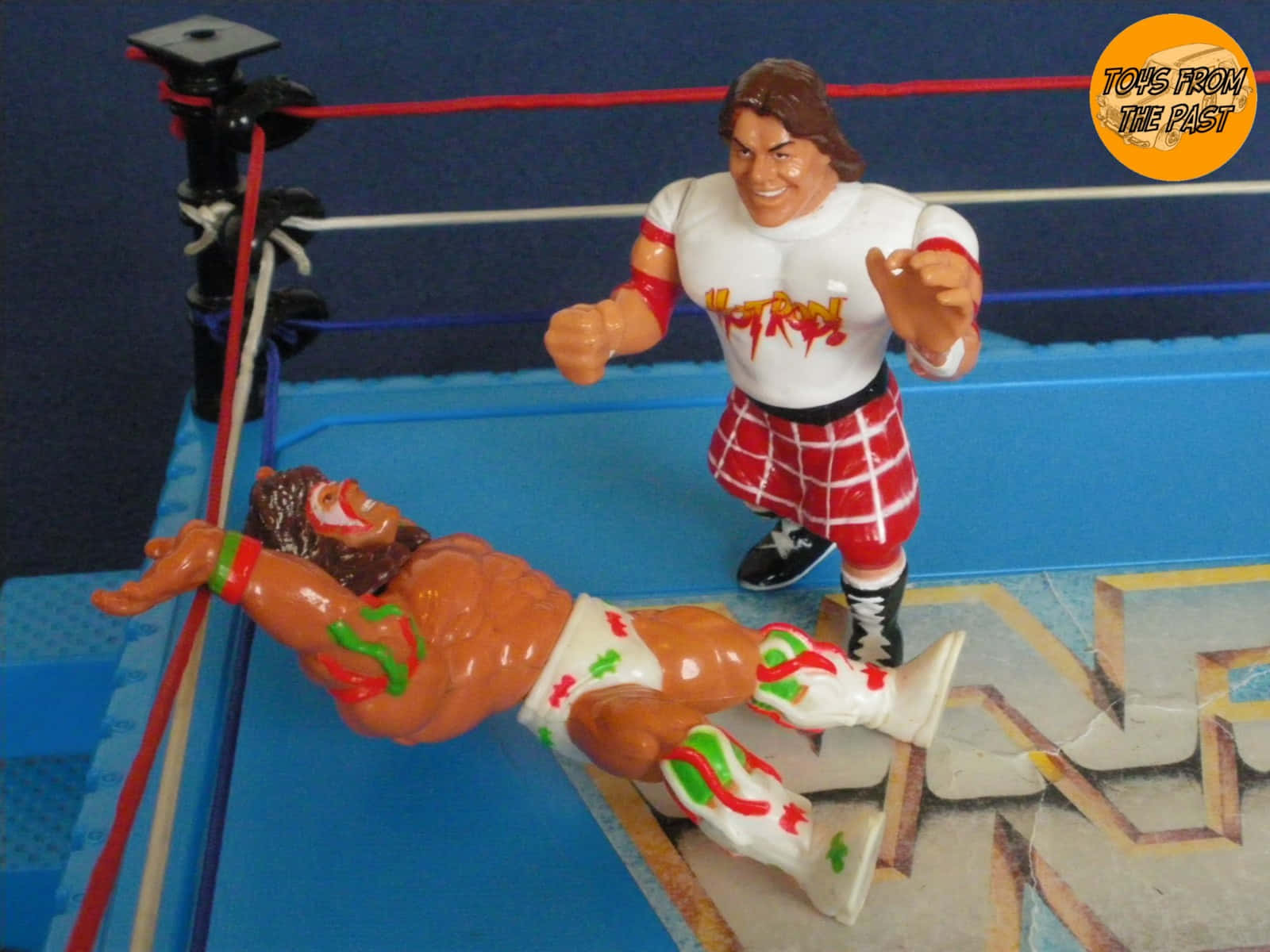 Jimmy Snuka, wrestling action figures, blue ring, HD Desktop Wallpaper
