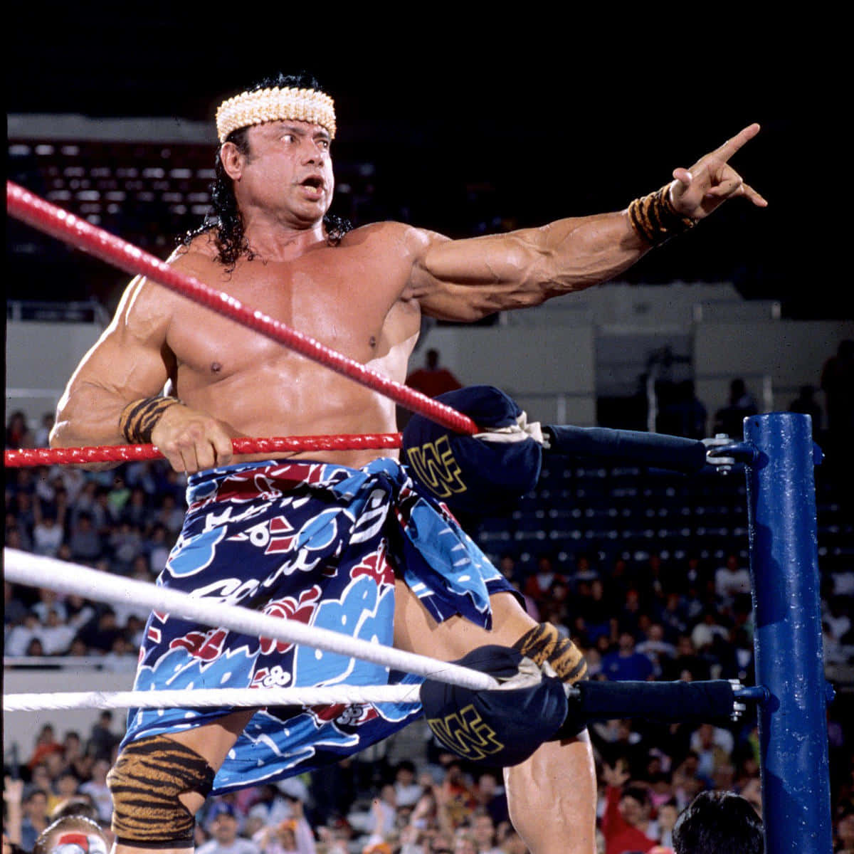 Jimmy Snuka, wrestling ring, arena lights, SD Desktop Wallpaper