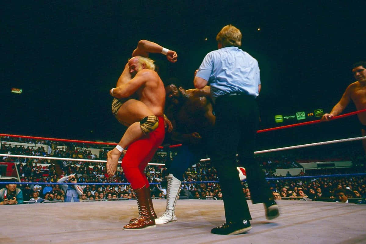 Jimmy Snuka, red tights, live wrestling match, SD Desktop Wallpaper