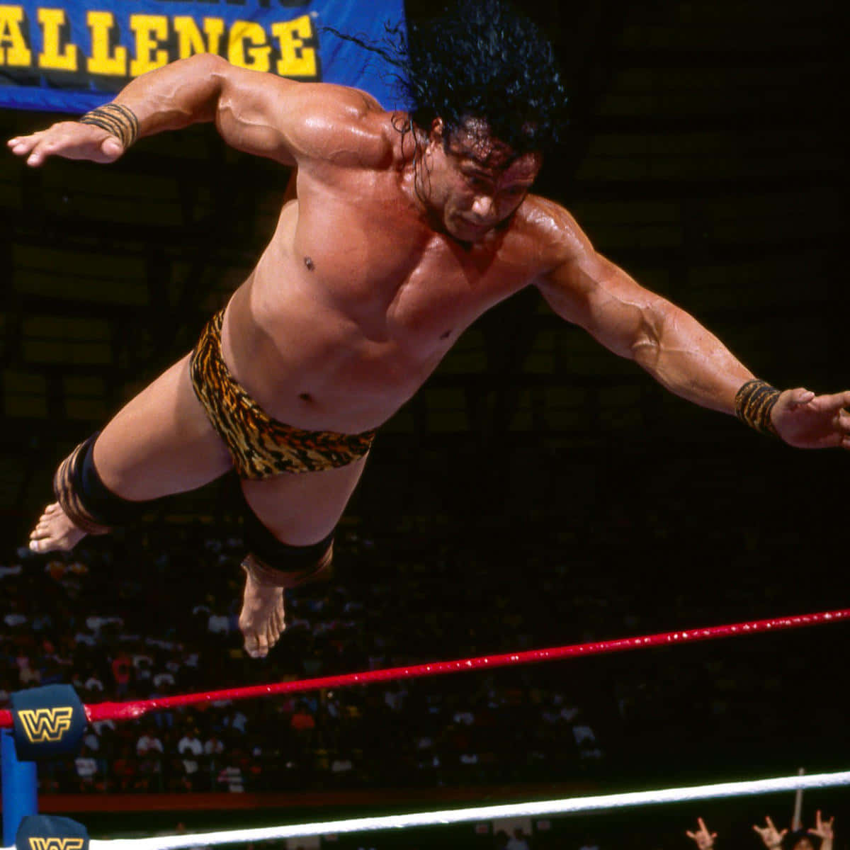 Jimmy Snuka, wrestler, mid-air, SD Desktop Wallpaper