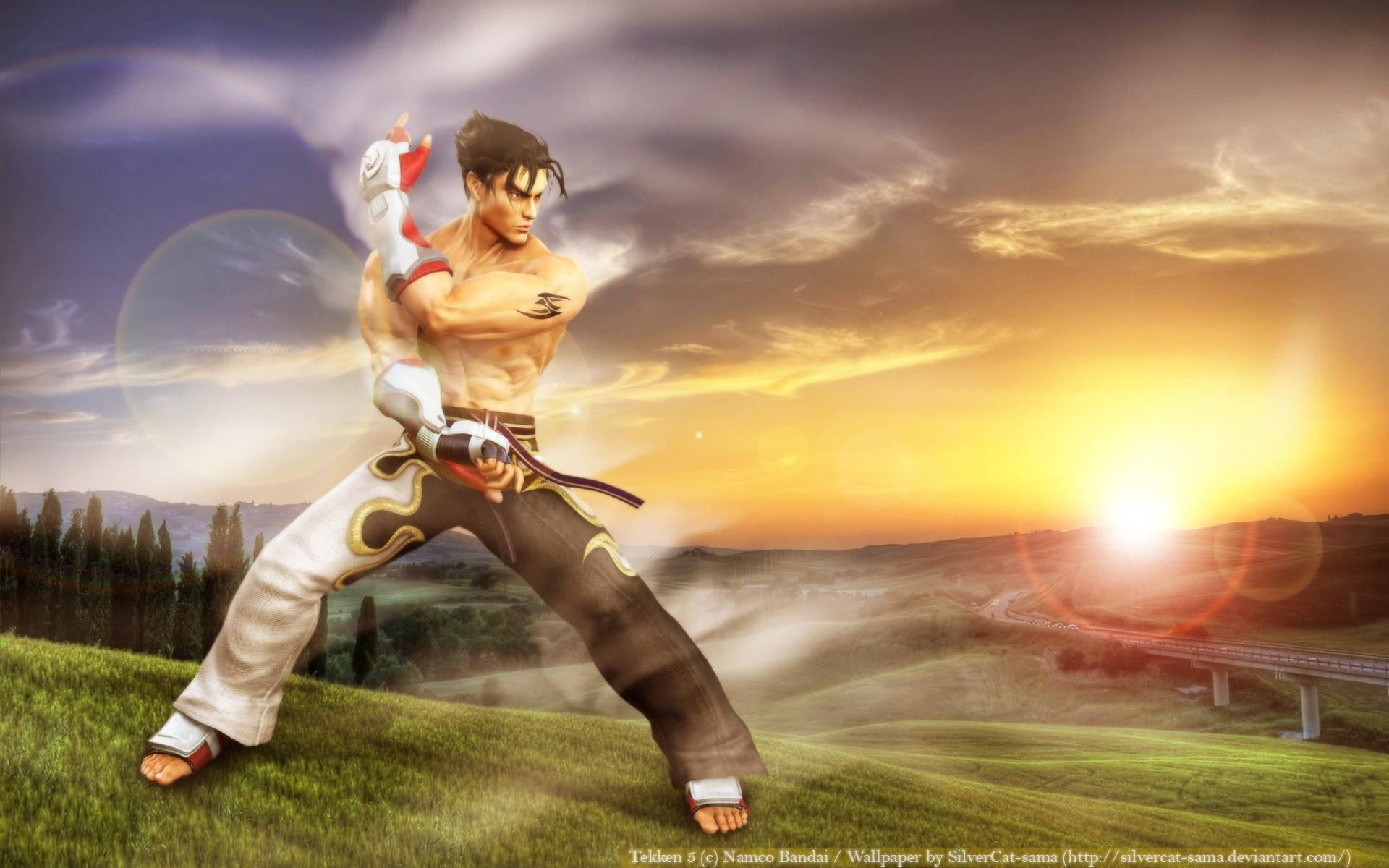 Jin Kazama, white and gold gi, grassy hill, Full HD Desktop Wallpaper