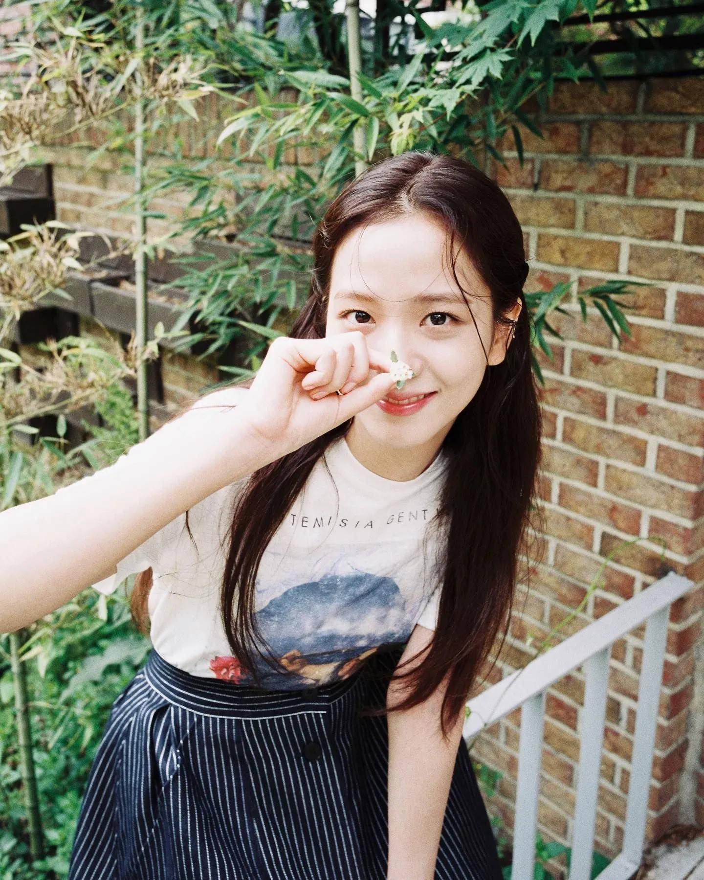 Jisoo, white flower, brick wall, HD Phone Wallpaper