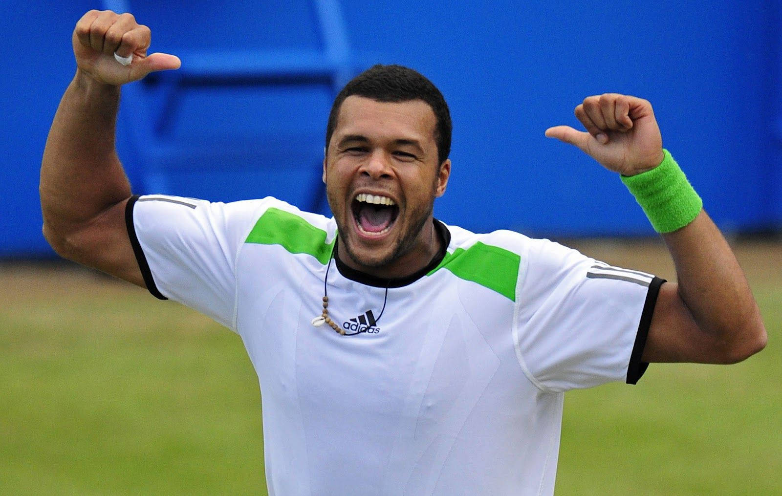 Jo-wilfried Tsonga, grass court, arms raised, HD Desktop Wallpaper