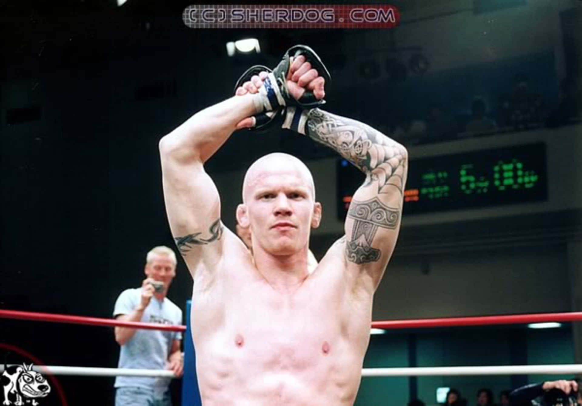 Joachim Hansen, Norwegian MMA, boxing ring, Full HD Desktop Wallpaper