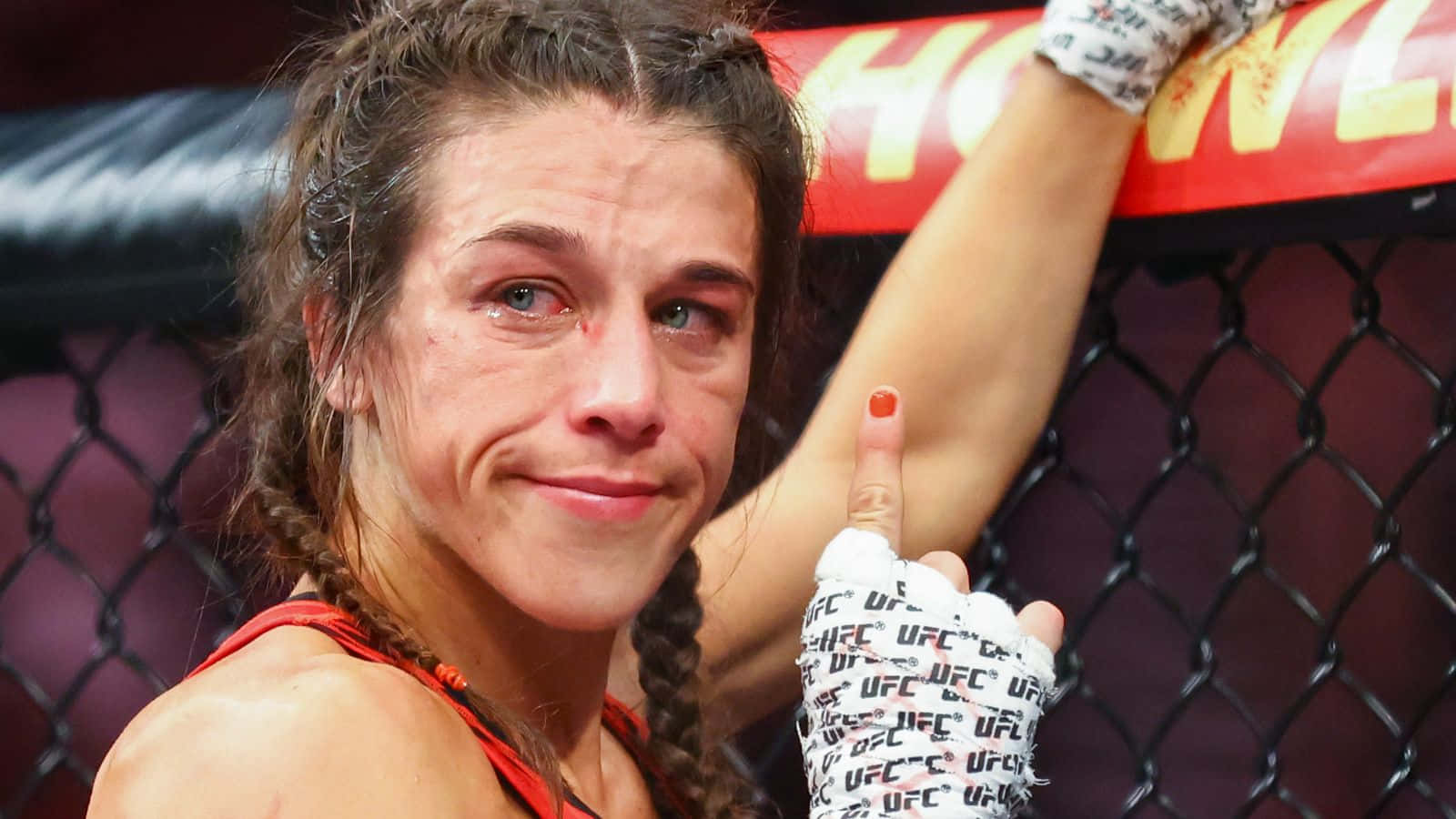 Joanna Jedrzejczyk, UFC gloves, octagon cage, HD Desktop Wallpaper