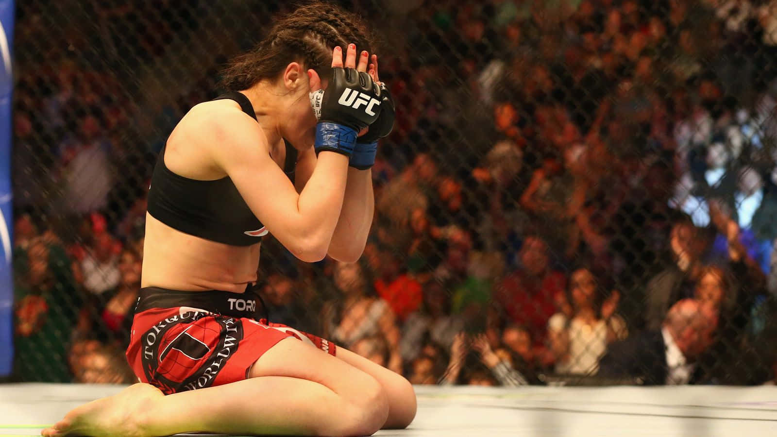 Joanna Jedrzejczyk, octagon, gloves, HD Desktop Wallpaper