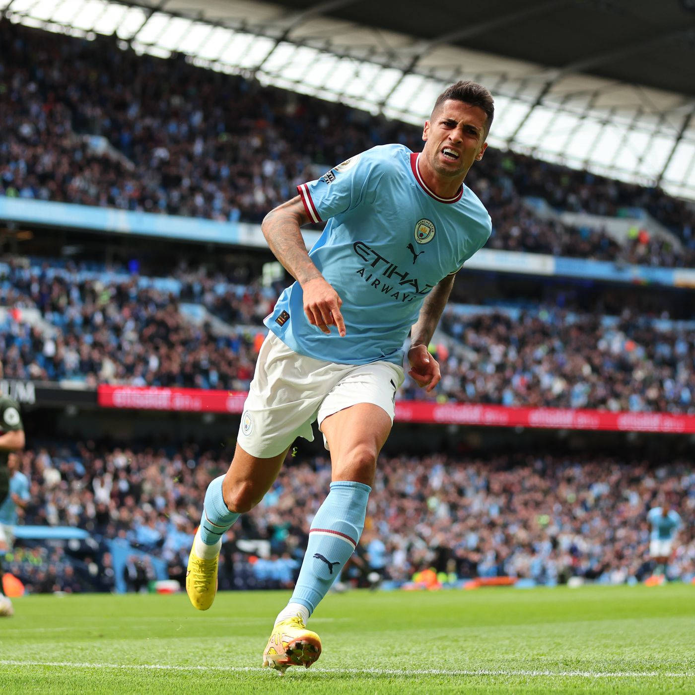 Joao Cancelo, light blue jersey, vibrant green pitch, HD Desktop Wallpaper