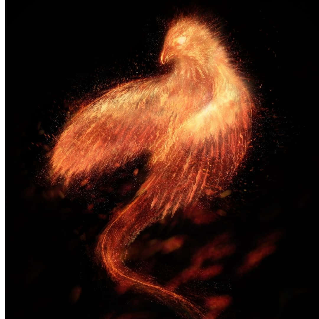 phoenix, glowing orange and red embers, dark void, SD Desktop Wallpaper