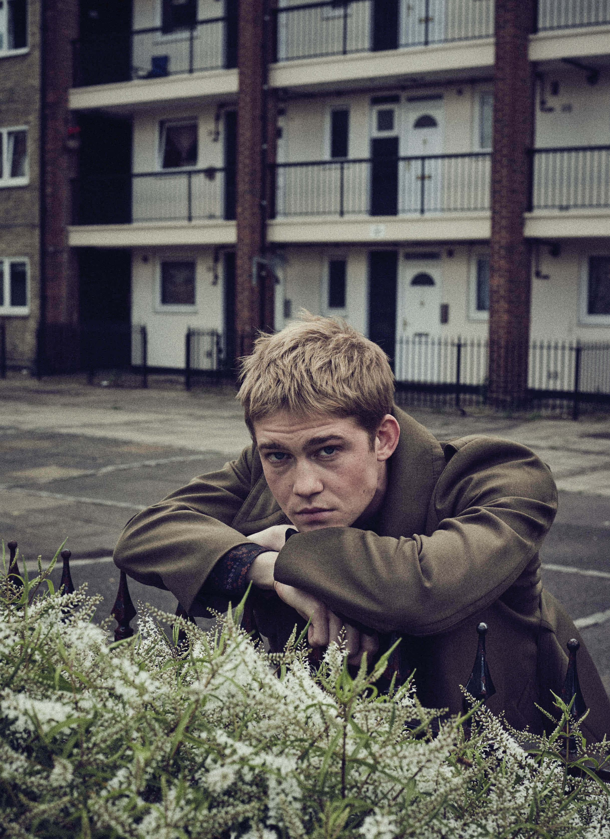 Joe Alwyn, tousled blonde hair, white flowering bushes, 2K Phone Wallpaper