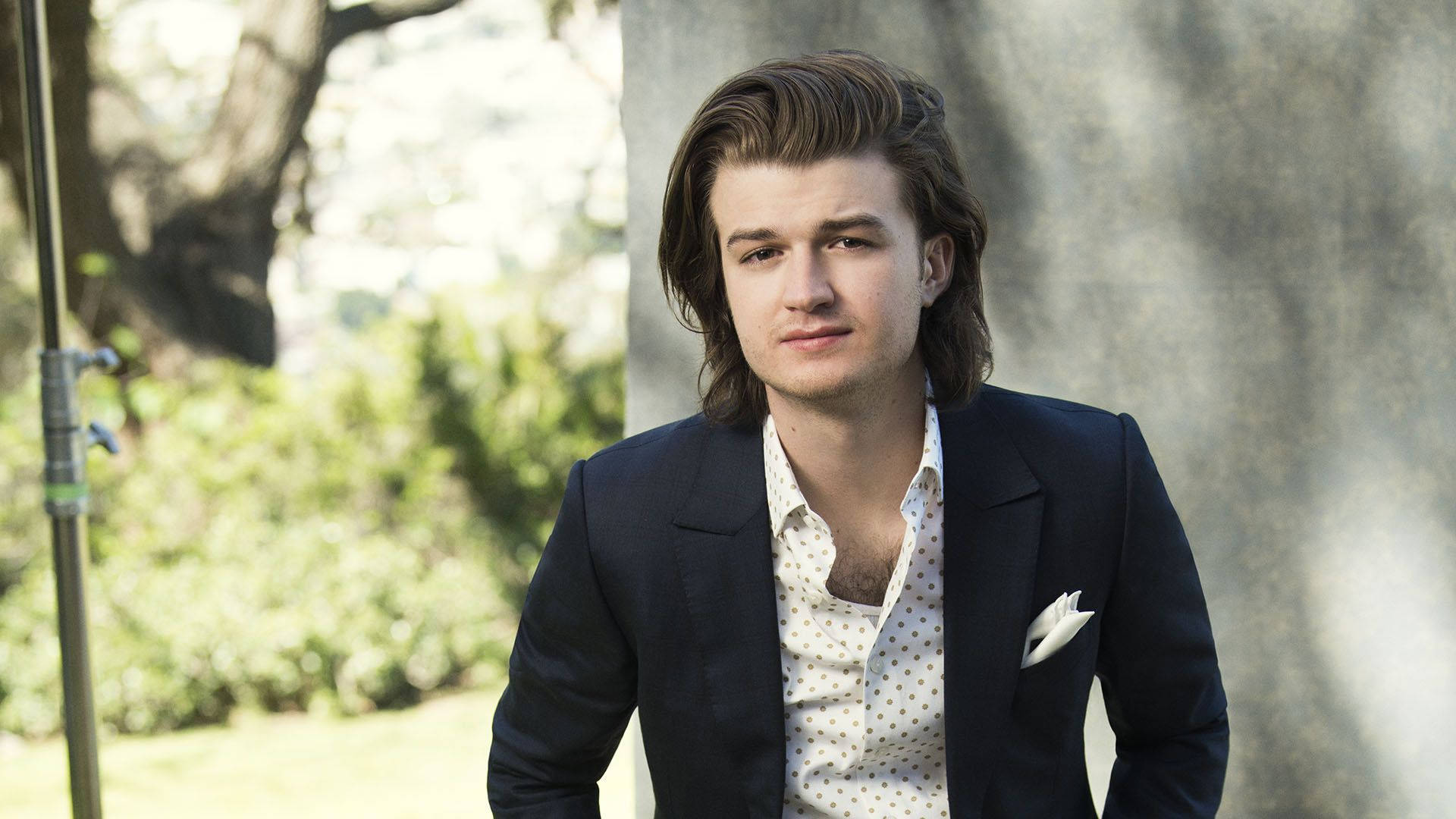 Joe Keery, sunny day, sunlit garden, Full HD Desktop Wallpaper