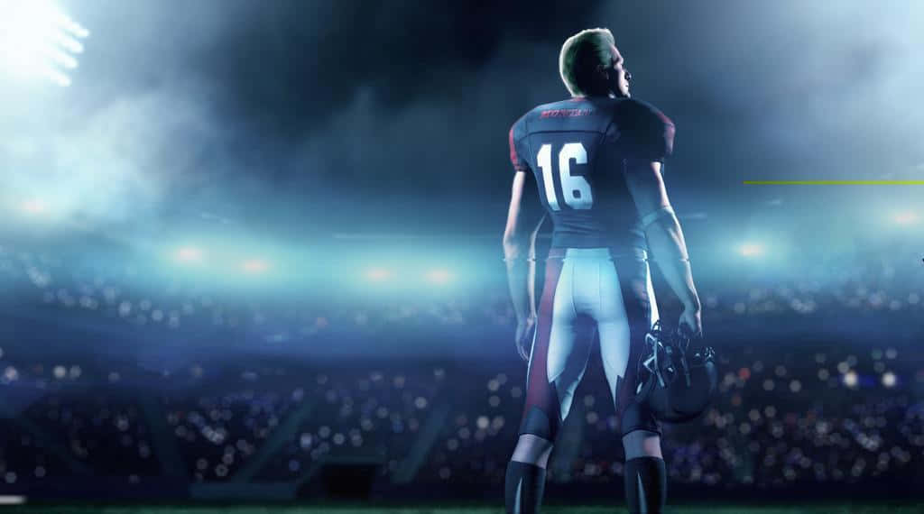 Joe Montana, number 16, stadium field, SD Desktop Wallpaper