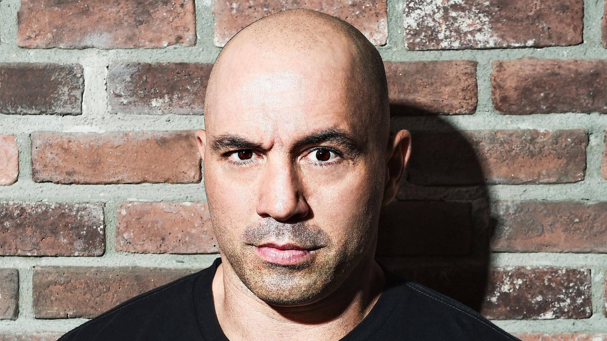 Joe Rogan, brick wall, bald man, Full HD Desktop Wallpaper