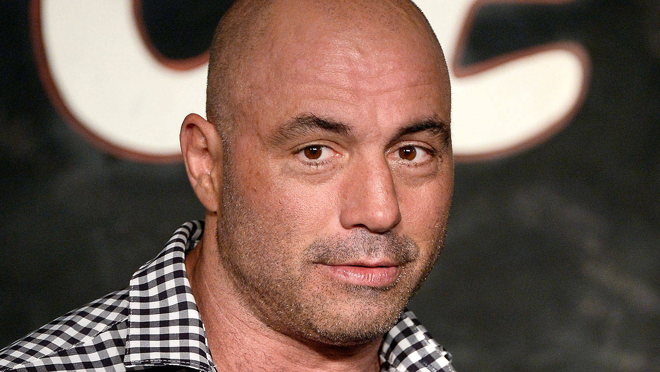 Joe Rogan, bald man, stubble, HD Desktop Wallpaper